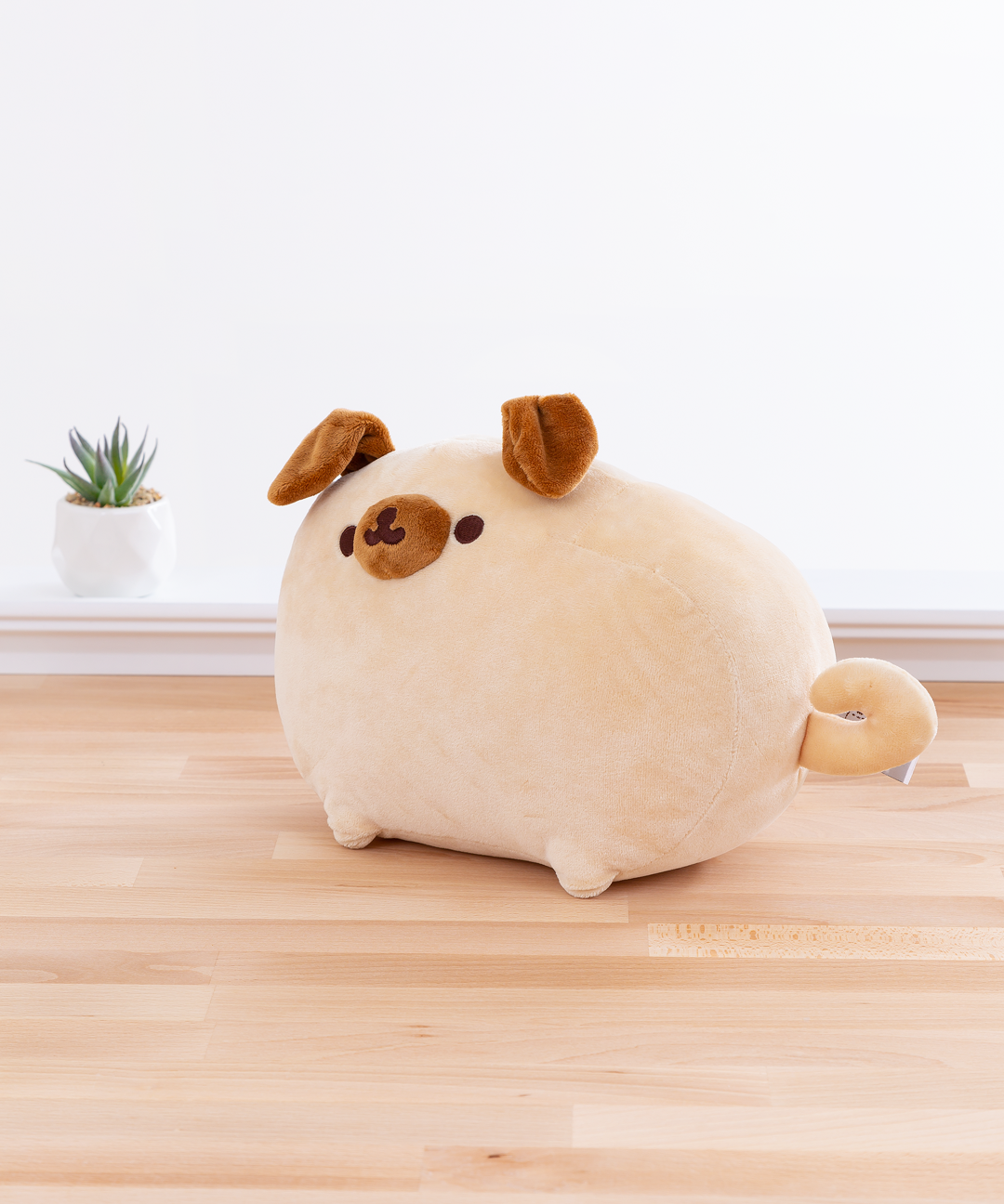 Pugsheen-3