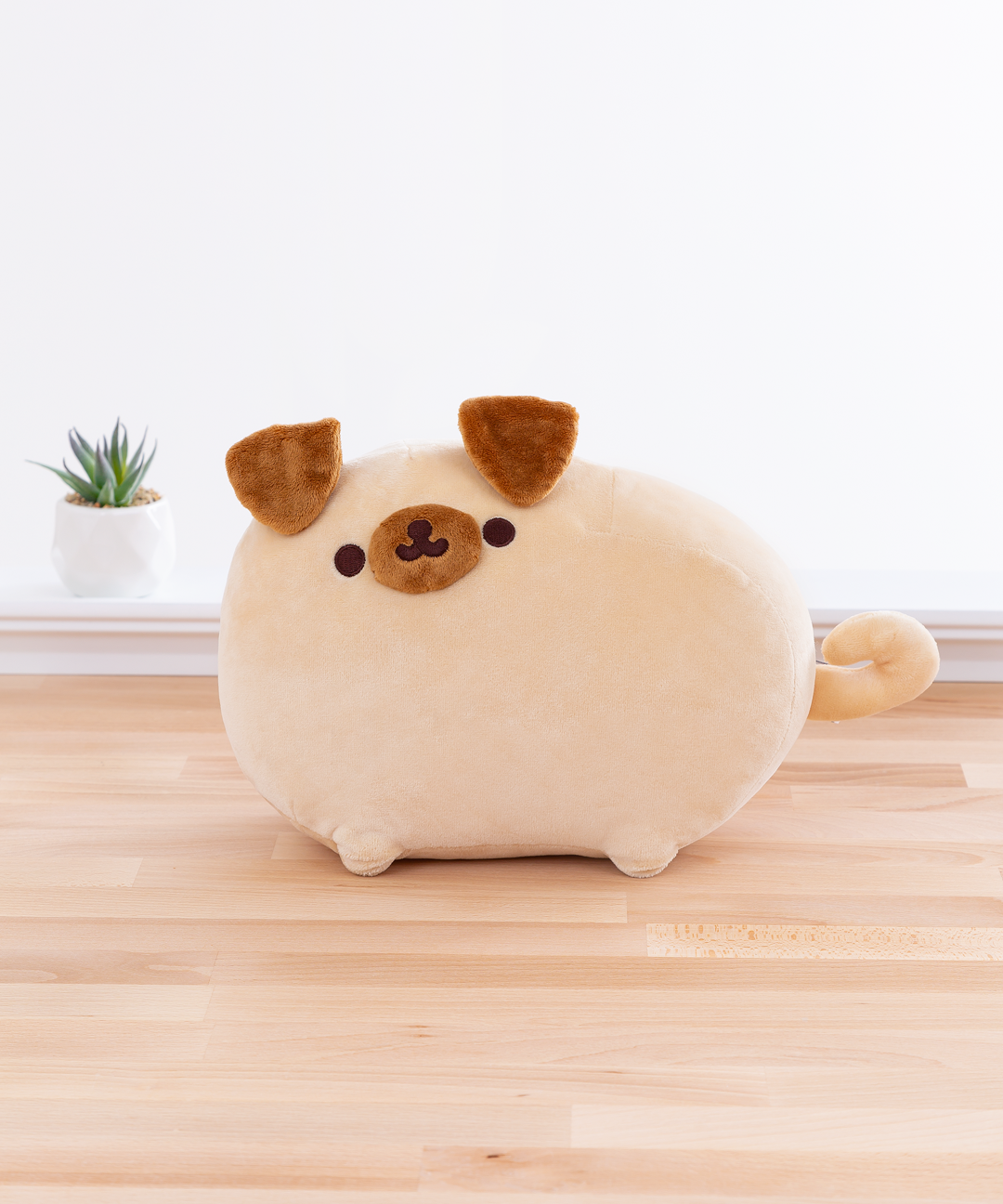 Pugsheen1