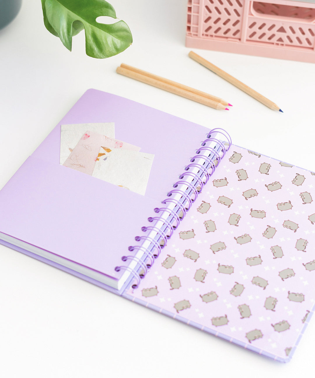 Pusheen_Naptime_Notebook_008_web