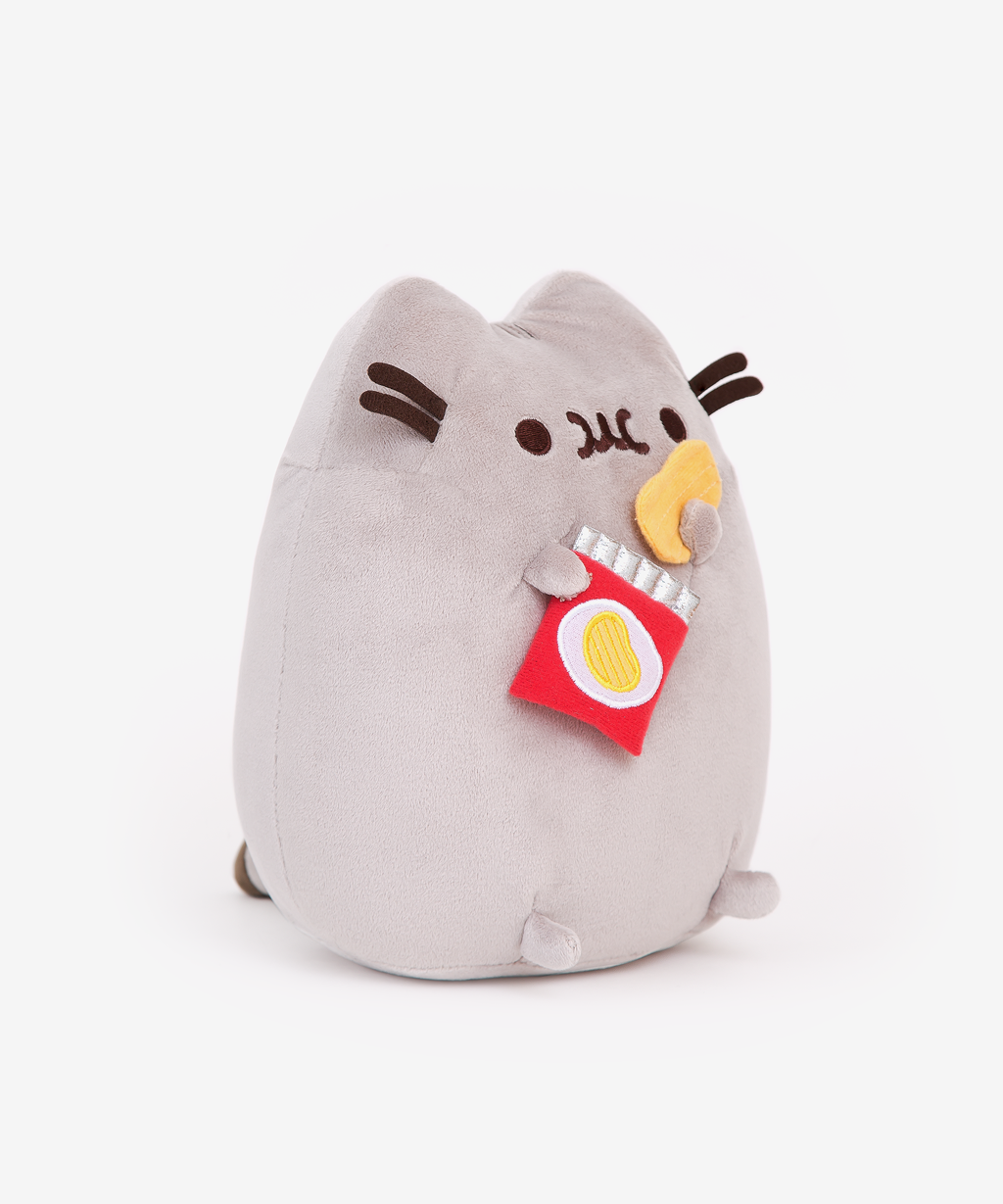 chips-pusheen-plush-2
